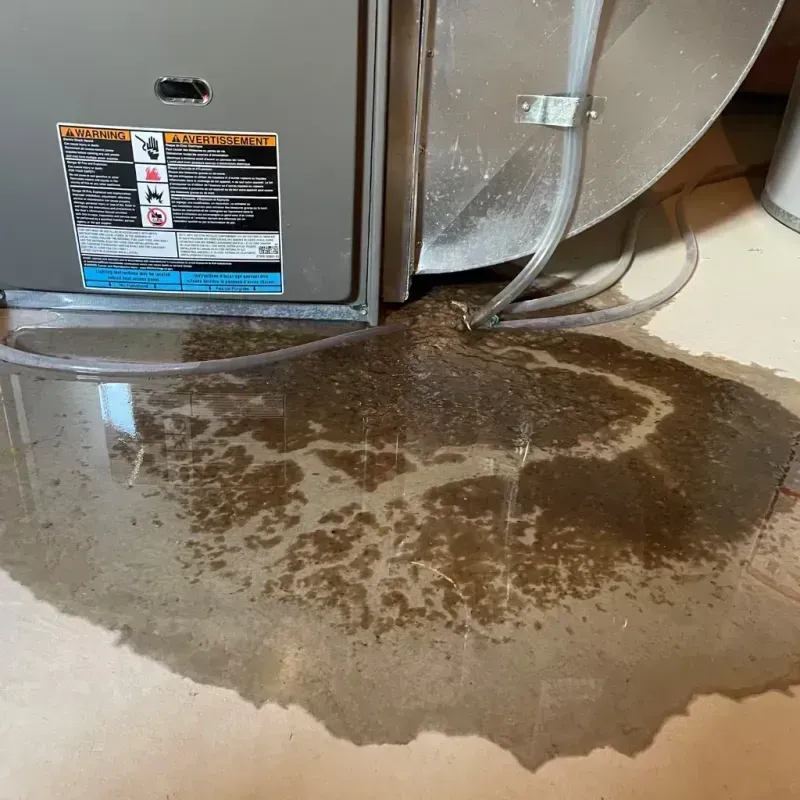 Appliance Leak Cleanup in Trempealeau County, WI